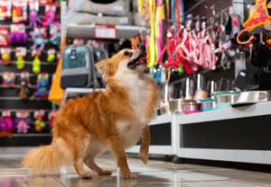Leverage Your Brand Identity: Why Positioning is Power